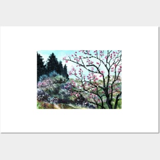 Mountain Spring Blossom Scenery Posters and Art